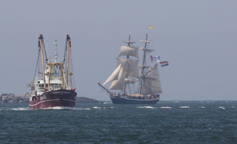 Havenfestival IJmuiden (@havenfestival) on Twitter photo Terwijl de kotters vol <a href="/NoordzeevisIJm/">Noordzeevis uit IJmuiden</a> de pieren binnen varen komt ook de Morgenster binnenlopen voor het Havenfestival. Dit prachtige tallship is de komende dagen één van de blikvangers in de Vissershaven. havenfestivalijmuiden.nl.
#havenfestivalijmuiden #havenfestival Terwijl de kotters vol <a href="/NoordzeevisIJm/">Noordzeevis uit IJmuiden</a> de pieren binnen varen komt ook de Morgenster binnenlopen voor het Havenfestival. Dit prachtige tallship is de komende dagen één van de blikvangers in de Vissershaven. havenfestivalijmuiden.nl.
#havenfestivalijmuiden #havenfestival