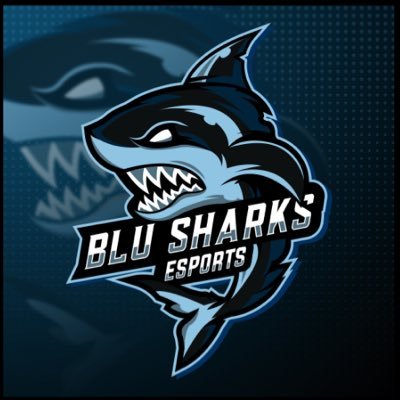 Ha comenzado la búsqueda de nuevos 🦈 Para <a href="/blusharksesport/">ʙʟᴜ ꜱʜᴀʀᴋꜱ🦈</a> para la próxima temporada. 

Buscamos reforzarnos en todas las posiciones. 

Más información al MD o contactando a <a href="/Eldel14Tv/">𝙀𝙇𝘿𝙀𝙇​ ¹⁴</a> o @JAYI79_BLU 

O tambien en el discord del equipo:
discord.gg/TxxyPF3Htm
