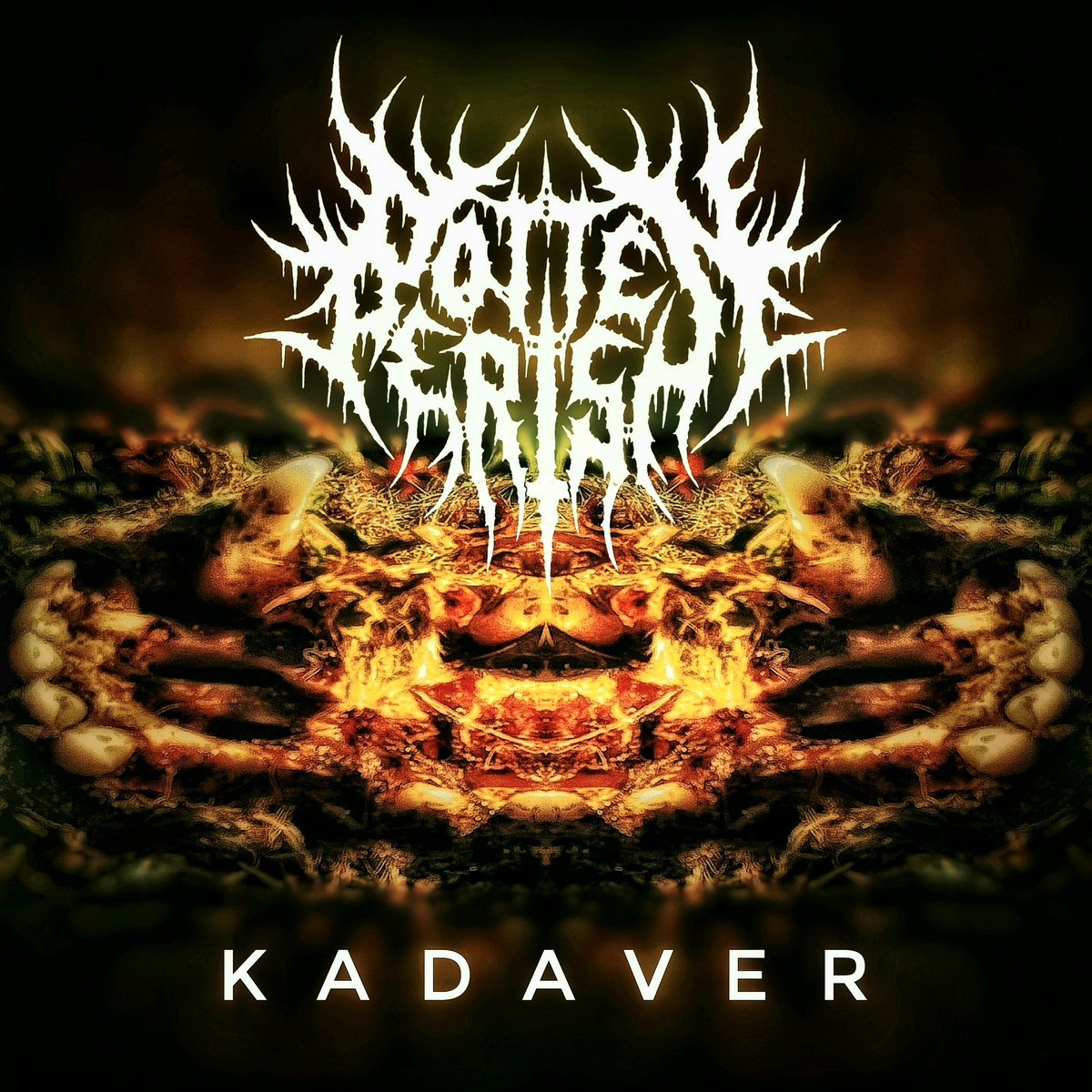 Rotten_Perish's tweet photo. K A D A V E R 
Full-length Digital 24th June 2022
https://t.co/Ym8Bhsjyw7
#RottenPerish #RuttetFörgås @RuttetForgas #underground https://t.co/tB5pzv0bEF