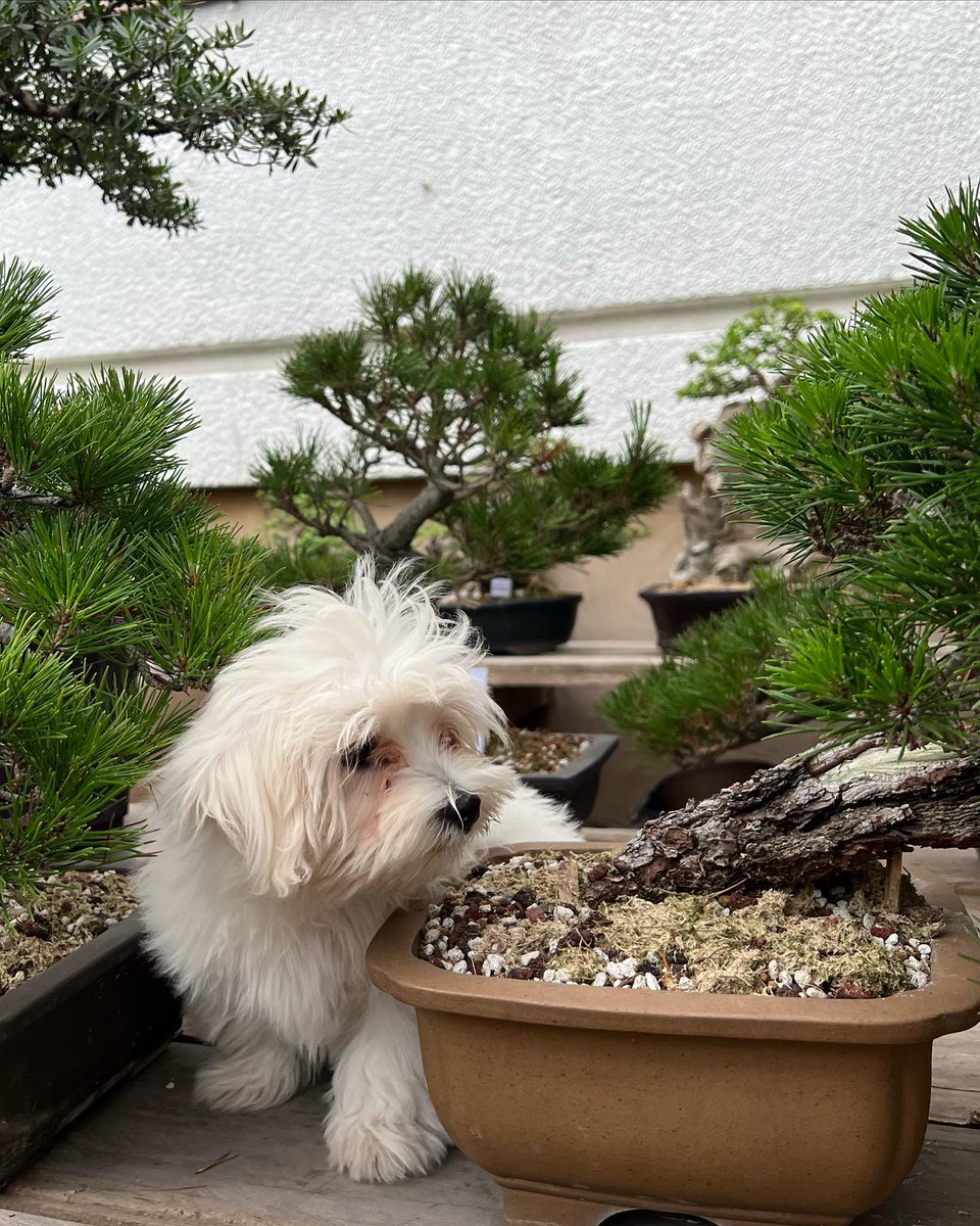 Chai Huang Si (@mrocht) on Twitter photo 