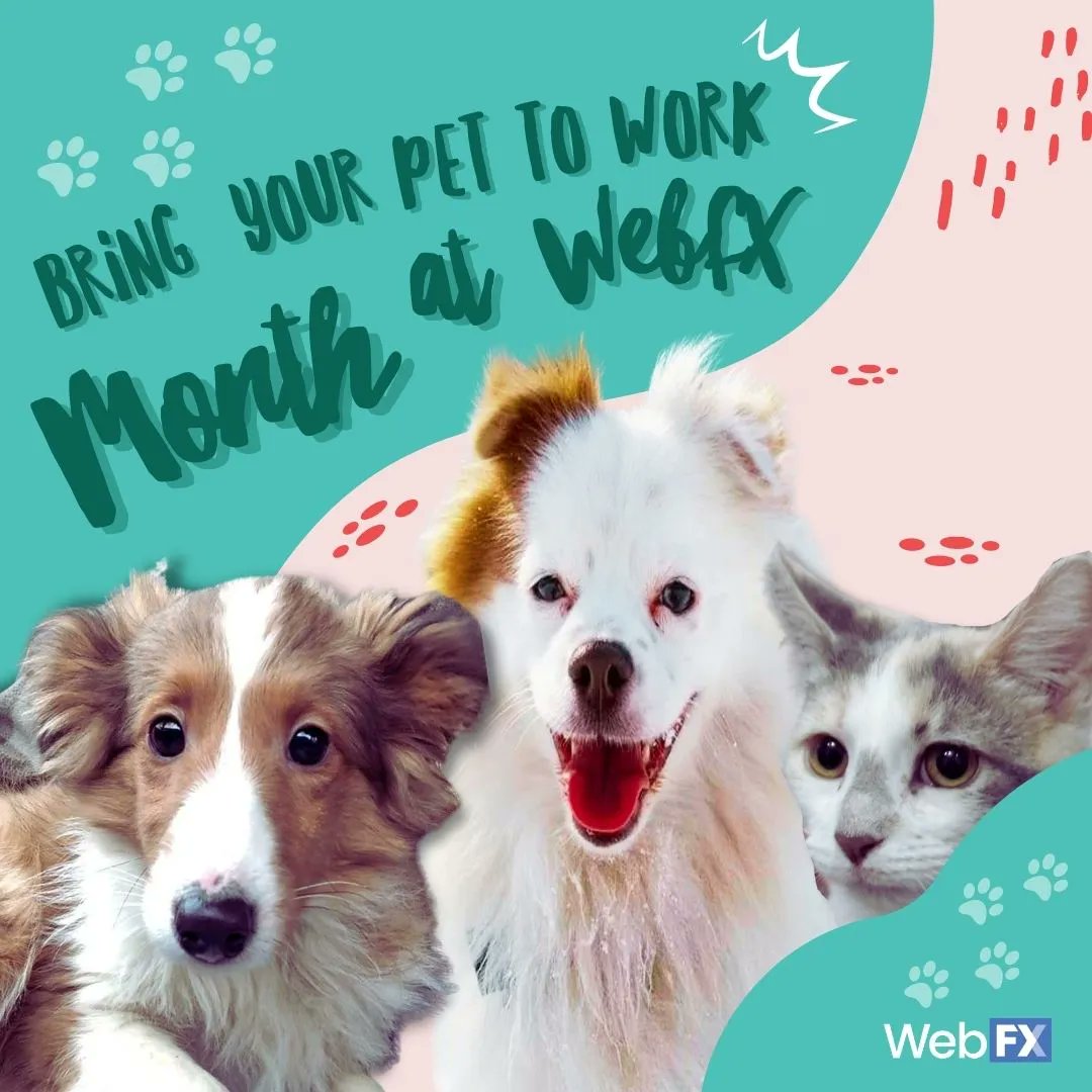 WebFX Happiness tweet media