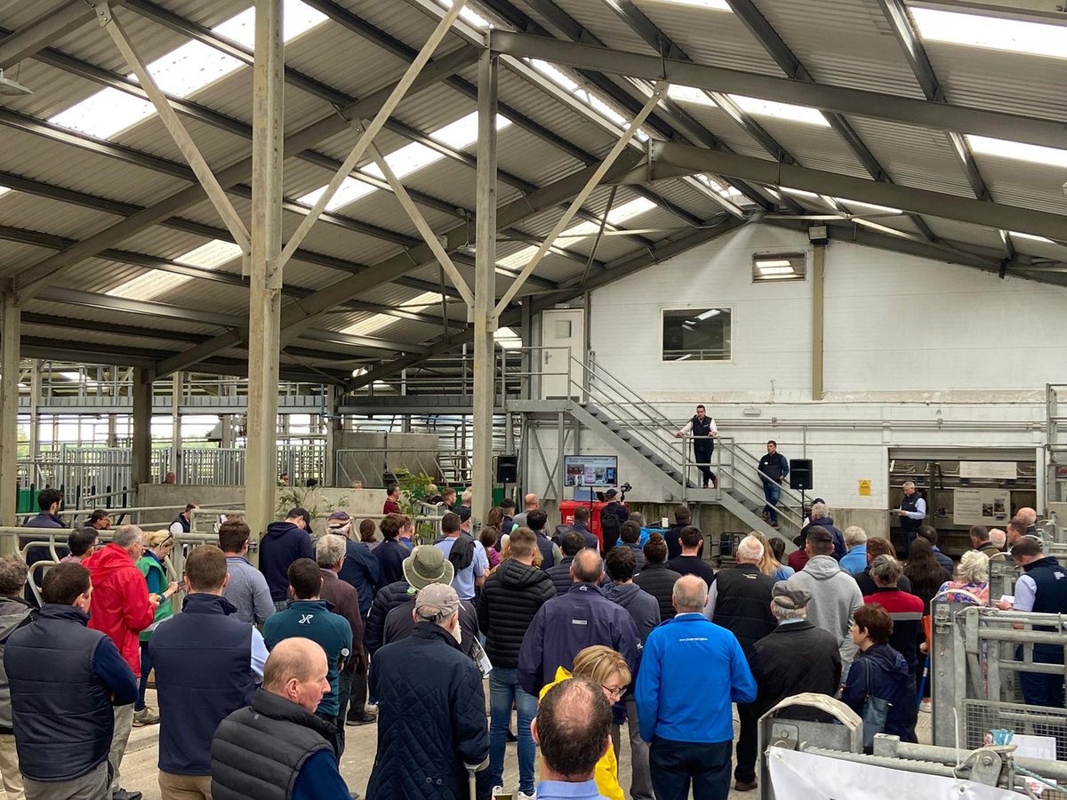 tirlan_'s tweet photo. Brian Hanafin, Head of Milkpool Development with Glanbia Ireland 🥛, John Wynne, Chair of Fresh Milk Producers and Shane McElroy, Head of Technical Development at Glanbia Ireland kicking things off here at our Future Proofing Year Round Milk Quality Event at UCD Lyons Farm 👍. https://t.co/9AQT92m3vH