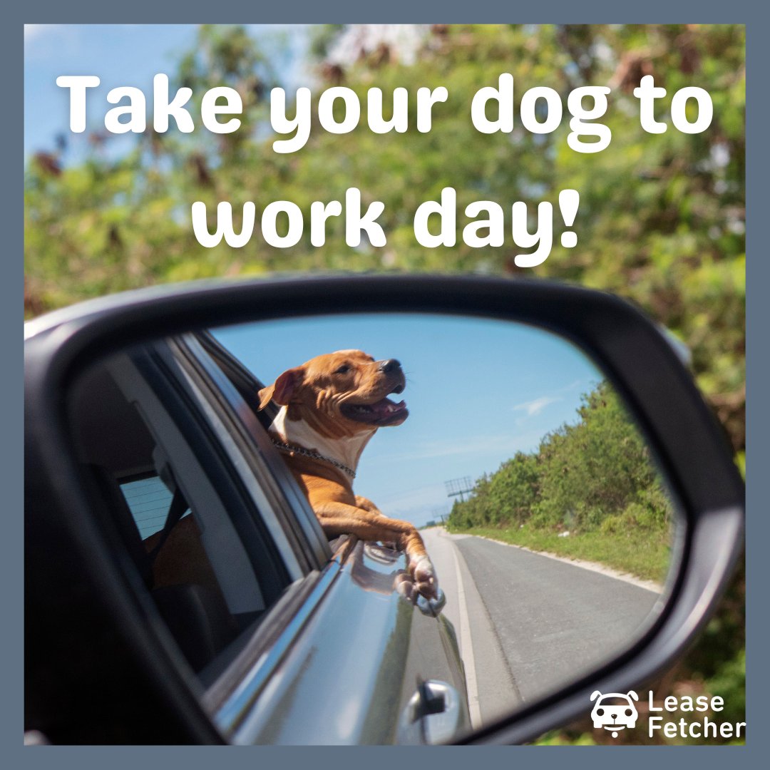 Happy National "Take Your Dog to Work Day!"🐕

But how do we get them there? Check out our post on the "Best Cars for Dogs" so you can take your dog everywhere!

leasefetcher.co.uk/best/best-cars…