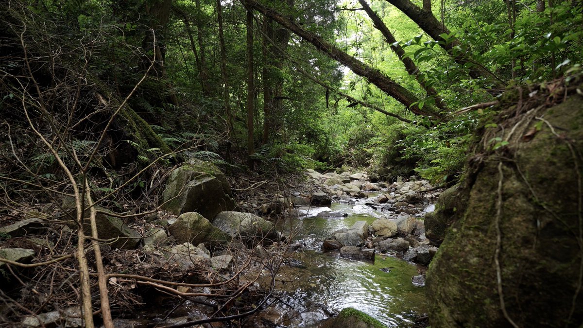 登録者3万人ありがとうございます。
いつも亀のようなペースで投稿していてすみません。
それでも毎回見てくれる皆さんには感謝感謝です。
これからも変わらずよろしくお願いします。
(写真は先週行った野営地です)