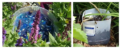 The_Buzz_Club's tweet photo. This #InsectWeek22 has been a scorcher, so adding some insect-friendly water to your garden is an easy way to make it more #wildlife friendly. Try a bee waterer (pebbles in a shallow dish of water), or a #hoverflylagoon. Let us know if you do! https://t.co/yh9OxMAXZp