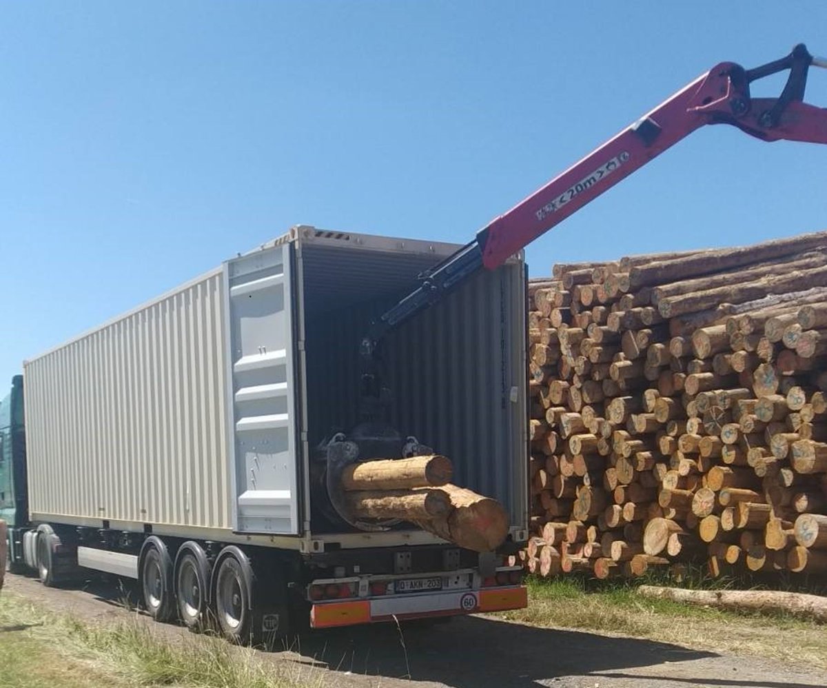 HandicoNv's tweet photo. Tree log loads have become one of our strong assets. Read our next blog to find out more!

https://t.co/hg304nUqF5 https://t.co/dv7SdEbCkU