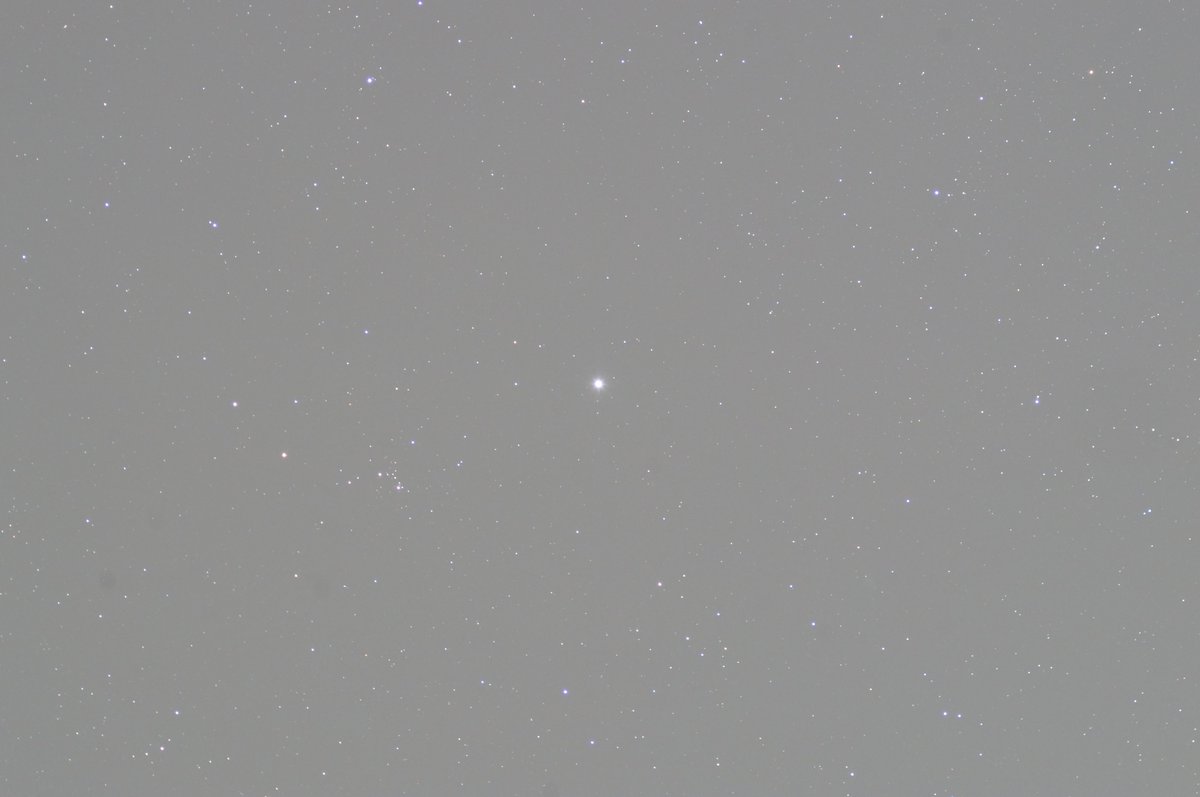 a_kind_of_space's tweet photo. I'm very happy about the first light of my updated almost-DIY #telescope setup, 5 minutes single shot of Sadr, star in the constellation Cygni, from my balcony in Vienna. Sky is very polluted here, but the guiding works very well for me, stars are round. I😍#OnStep https://t.co/nCihGKdVvV