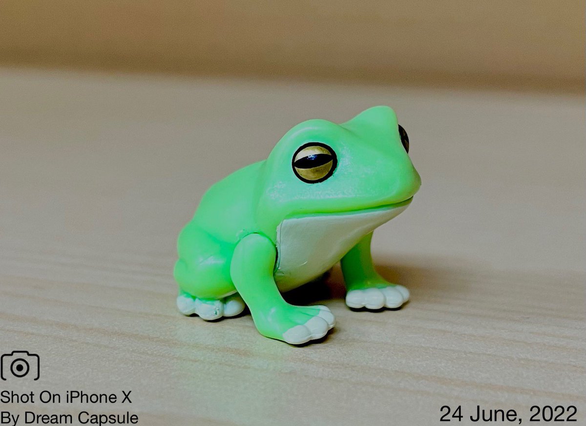 締め切りは7月1日22:00です。 ※ディスプレイ用サンプルの為、開封済