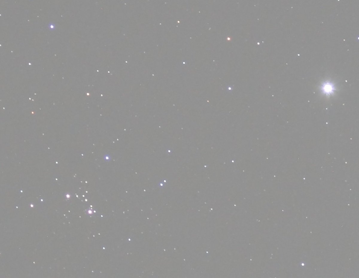 a_kind_of_space's tweet photo. I'm very happy about the first light of my updated almost-DIY #telescope setup, 5 minutes single shot of Sadr, star in the constellation Cygni, from my balcony in Vienna. Sky is very polluted here, but the guiding works very well for me, stars are round. I😍#OnStep https://t.co/nCihGKdVvV