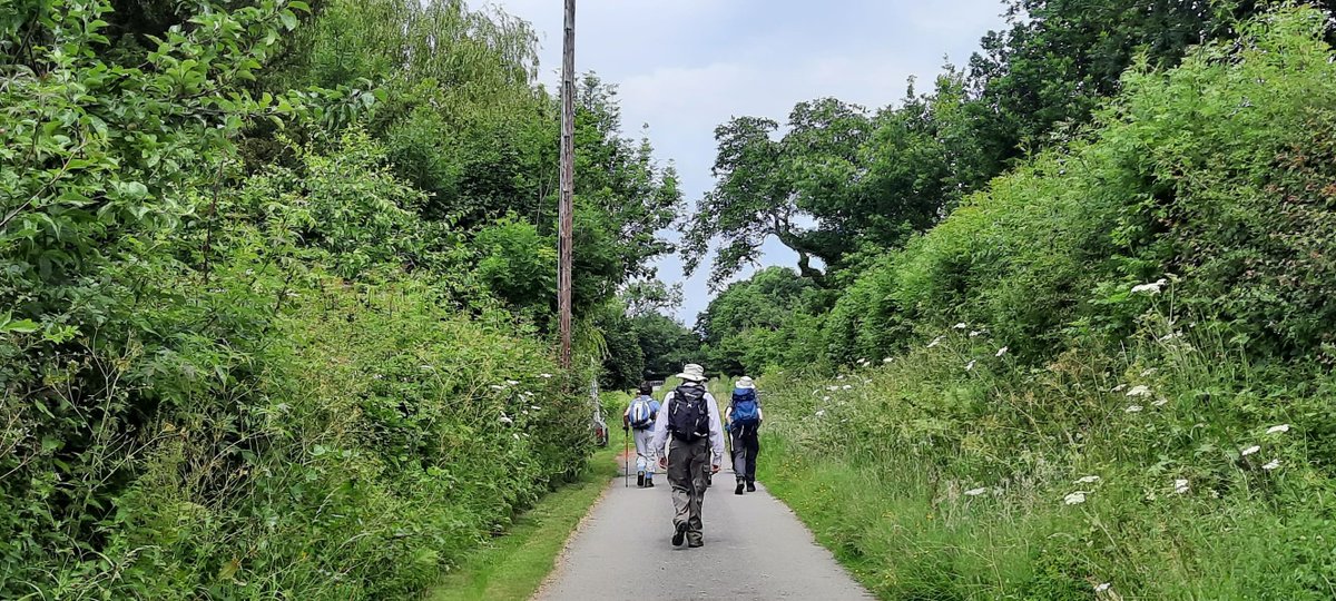 Herefordshire Walking Festival tweet media