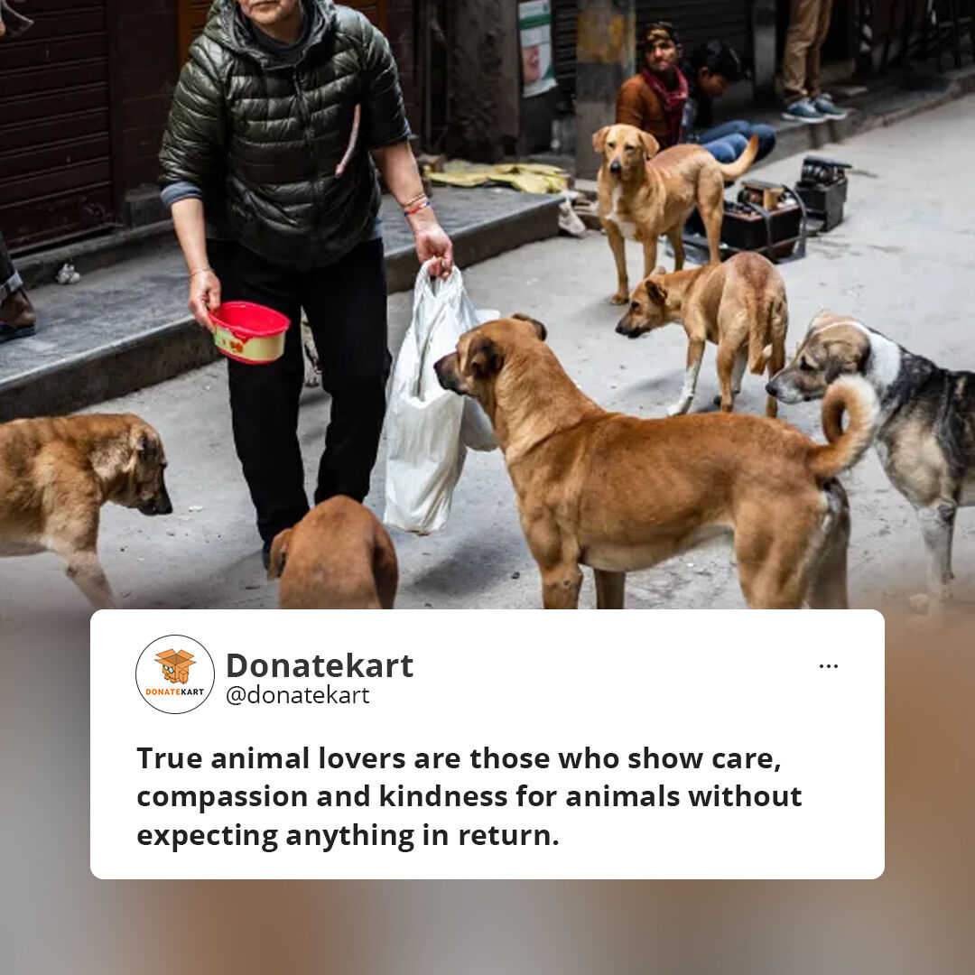donatekart's tweet photo. Drop a ❤️ if you agree!
.
.
.
#tweetpost #animallover #animals #doglovers #catlovers #pets #animalsofindia #straydogs #animalactivist https://t.co/NNgAtc6KGF