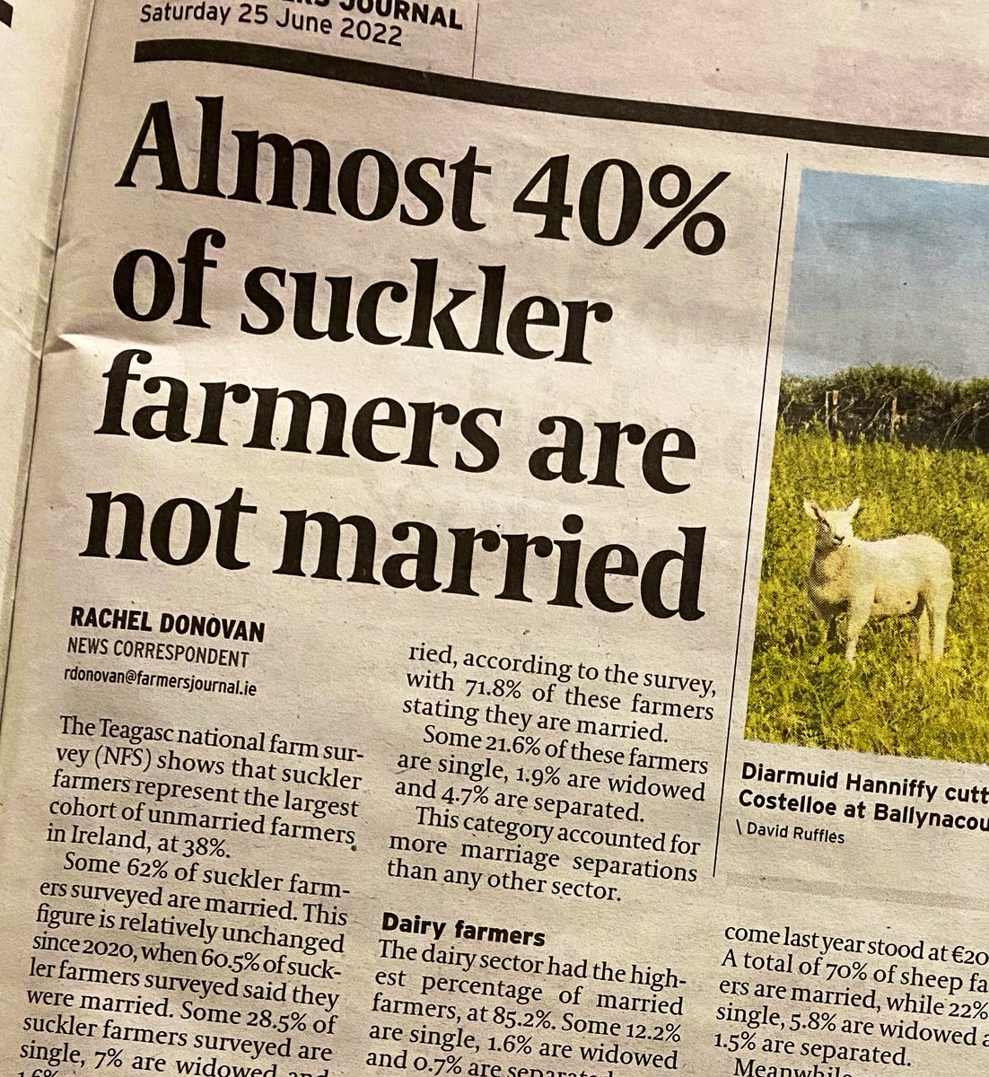CormacTagging's tweet photo. Lots more wedding proposal tags to be done….. 💞💍💒🙌

#FridayFeeling 🤣   #emergingmarket 
 #TagOnce 😉 https://t.co/TpJLNqHMkr