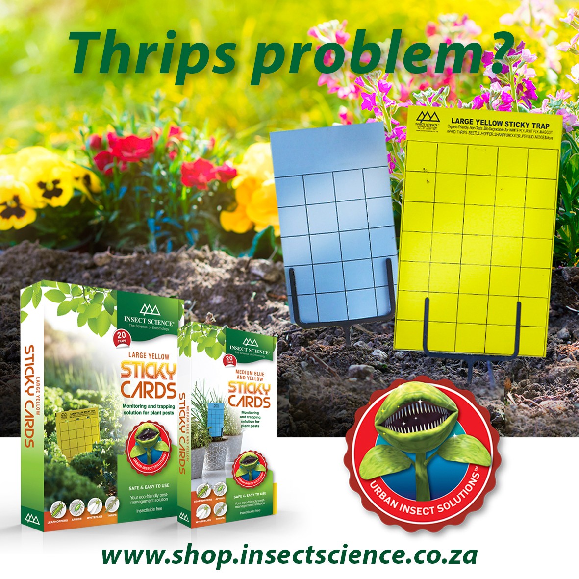 Insect Science tweet media