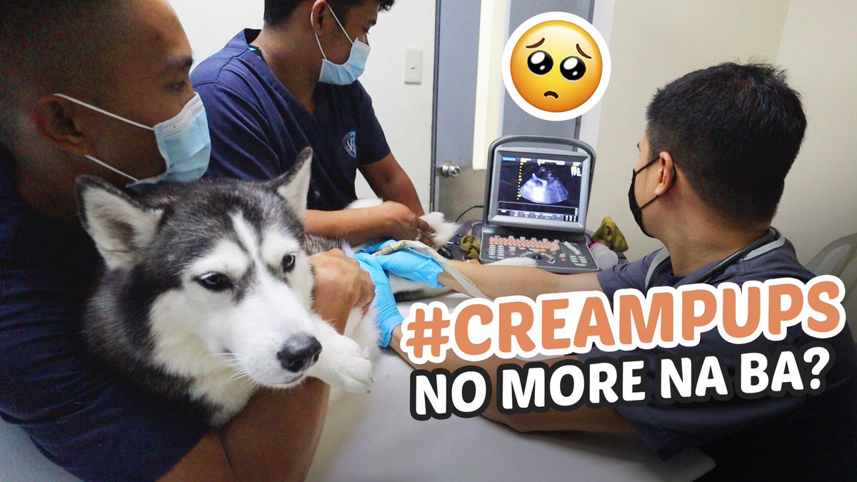 *NEW UPLOAD* 😔♥️
MAY NANGYARI SA PAGBUBUNTIS NI CREAM O..

YT Link: youtu.be/yioTBRHrZQc