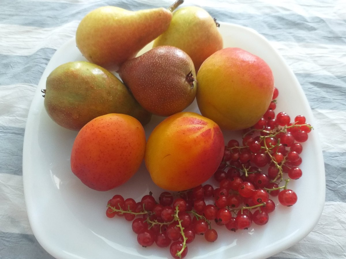 Ми позираат 😉