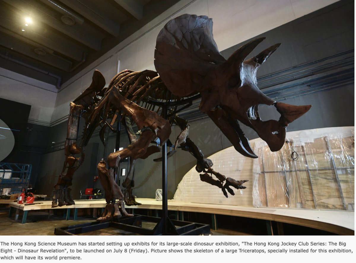 NizarIbrahimPhD's tweet photo. https://t.co/xQ5CVBbmBY

#big8 #dinosaurs #firstinitiativefoundation #Hongkong #palaeontology https://t.co/Ev2ihjjdYq