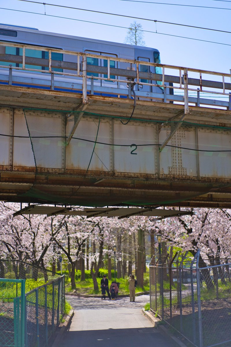 lucualcamera's tweet photo. 自己紹介がてら最近撮った写真4枚

#写真好きな人と繫がりたい 
#ファインダー越しの私の世界 
#キリトリセカイ
#photography https://t.co/oplNsggE2E