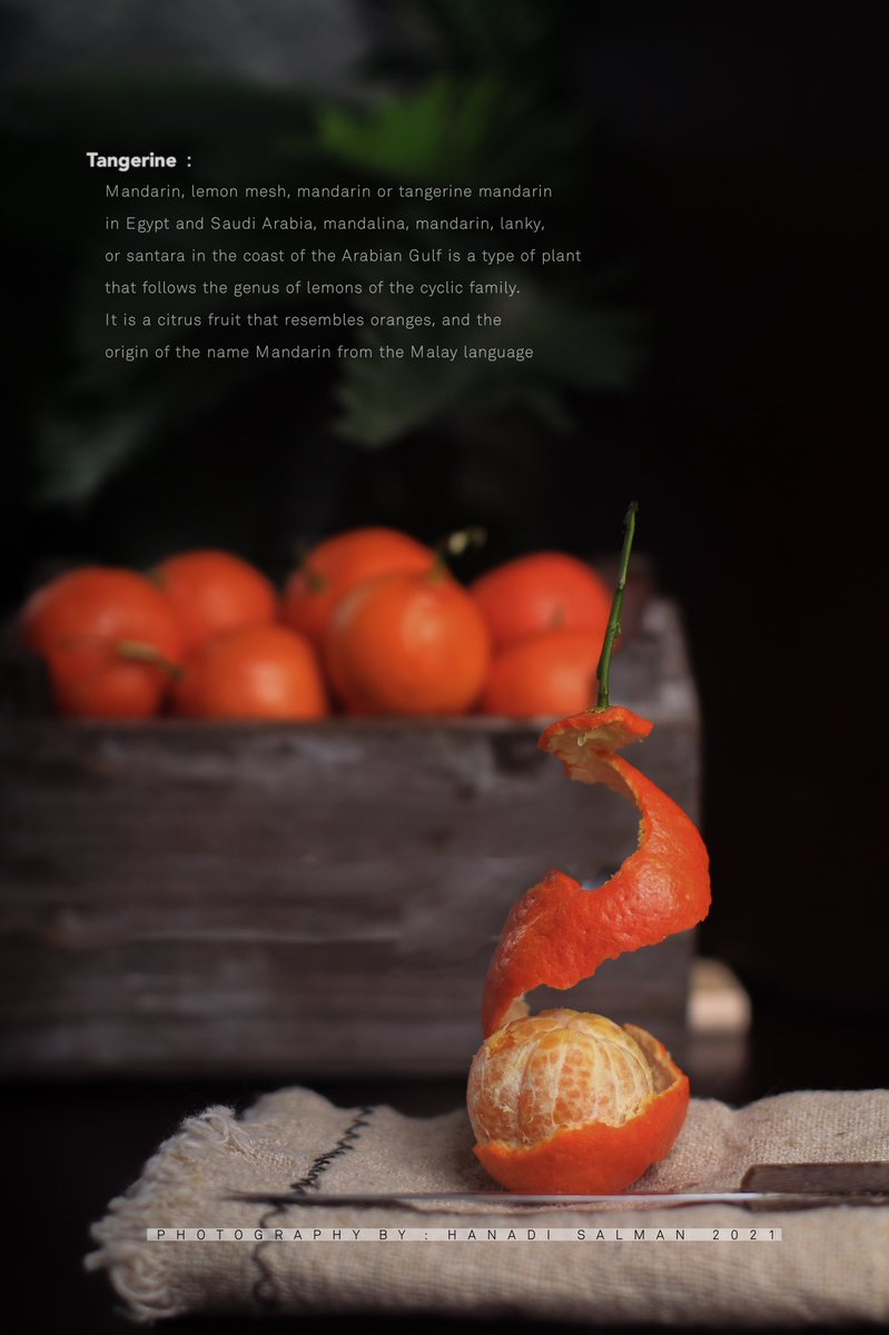 هنادي سلمان مصورة فوتوغرافية tweet media