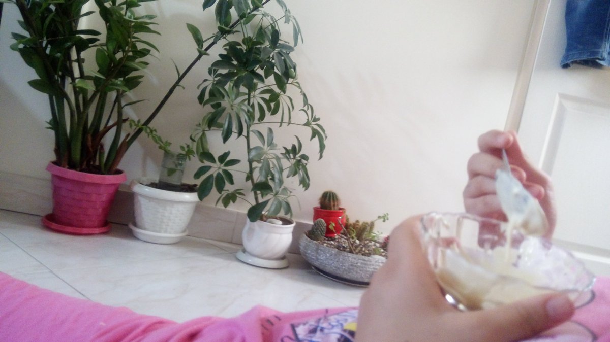 به نظرتون داره چی میخوره ؟