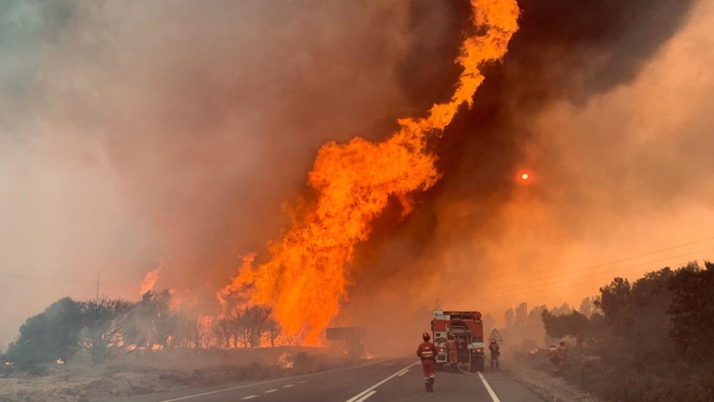 ¿Quieres ayudar a la Sierra de la Culebra y no sabes cómo? Aquí te dejo algunas maneras de colaborar en la recuperación de sus pueblos. ABRO HILO 
#Zamoraentuits #IfSierradelaCulebra 
📸 <a href="/El_Plural/">El Plural</a>