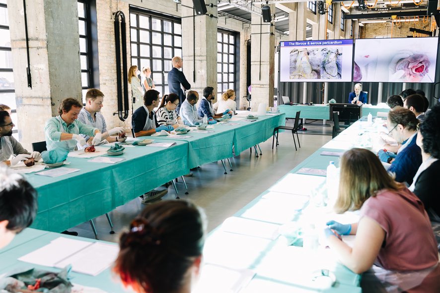 Anne Neubert tweet media