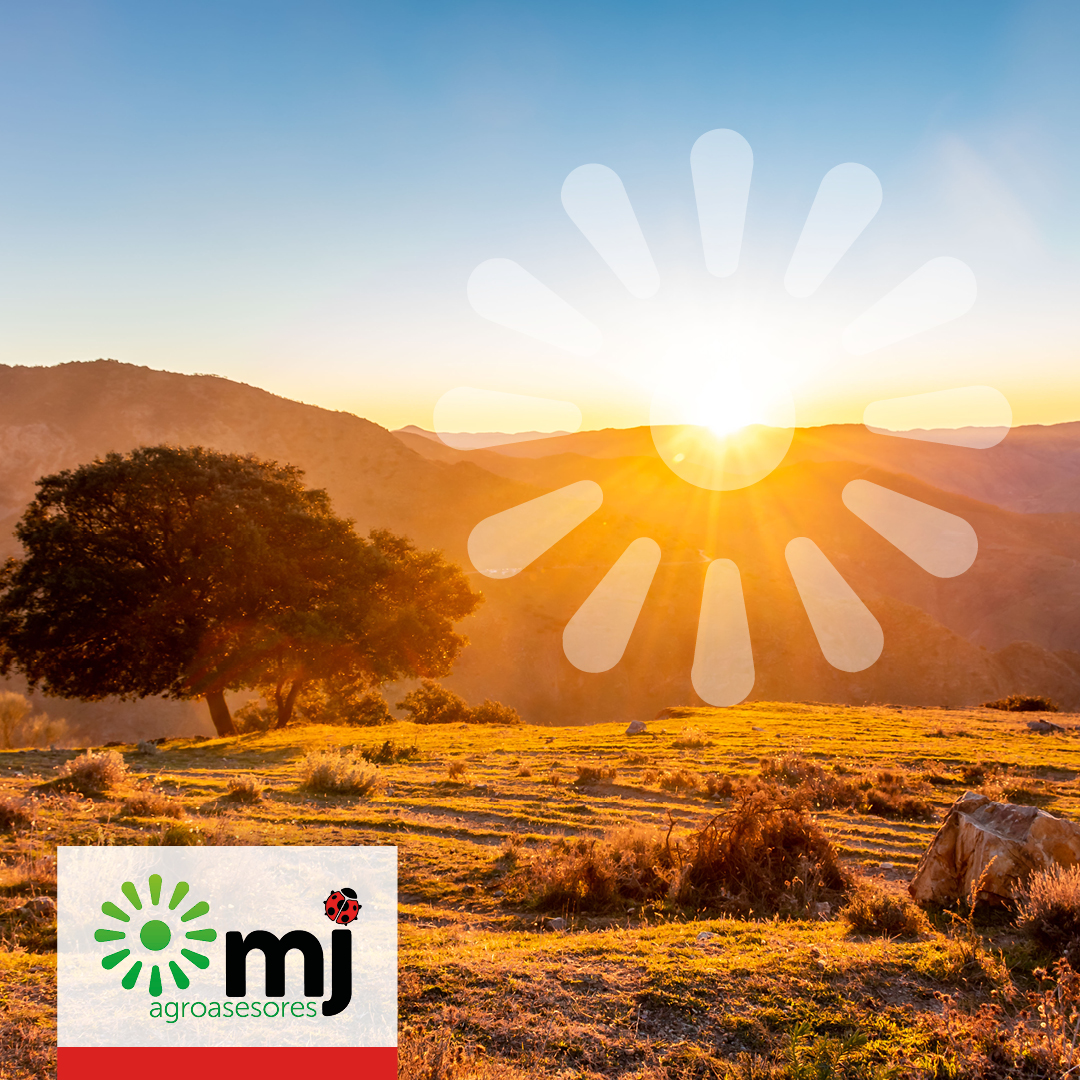 Poli_ElEjido's tweet photo. Patrocinador Oficial del Pvo El Ejido

💙MJ AGROASESORES💙

Nada como un precioso paisaje del Sur de Andalucía para recordar de dónde vienen nuestros deliciosos productos bio

🌟¡Feliz viernes, #mjoteros!🌟

#MJAgro #AgriculturaEcológica #VamosEjido #MuchoPoli https://t.co/oJq2k6CEhl