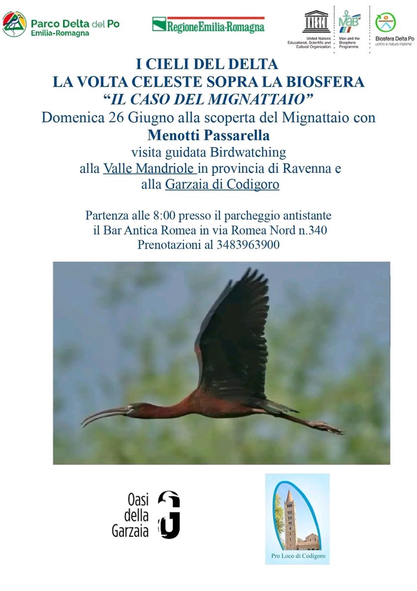 Italianbirder's tweet photo. Domenica 26 giugno #gratis visita guidata #gratuita #freeofcharge #visiteguidate #birdwatching #fotografia #Ravenna #DeltadelPo #ParcodelDelta ore 8:00 bar Antica Romea "Il caso del Mignattaio" #uccelli #aironi #birding #biosfera #cieli GRATIS GRATIS GRATIS GRATIS GRATIS GRATIS! https://t.co/pDzygTvYVi