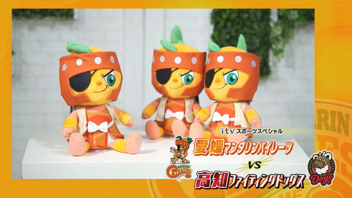 愛媛MP vs 高知FD 応援メッセージを送ろう⚾ 番組内で発表する