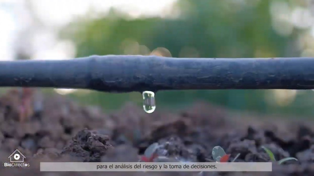 Arturolarena's tweet photo. Casi las 3/4 partes del territorio de España esta considerado tierras secas... dicho en el foro #Biodirectos de @FBiodiversidad #enld #desertificación. @ManuMonk y @RomeroVilchezG nos lo contarán en @efeverde y https://t.co/fxGUUd9Y6Z https://t.co/bIkhBTygZj