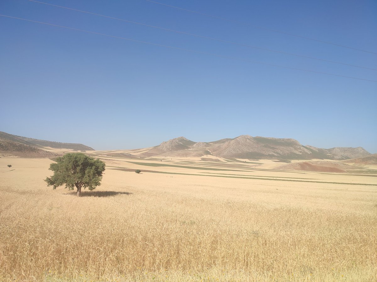 در دل زاگࢪس 🏔
قلعہ فلڪ الفلوڪ 😃