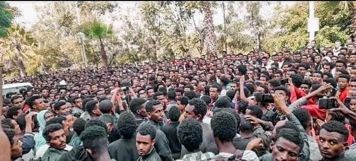 "የኦሮሞ ደም ከእኔ ጅስም የሚቀዳ ነው"  በሚል መፈክር ዙፋን አስረክባ ከፈን በተቀበለችው የጎንደር ከተማ "ደማችን በእጃችሁ አለ" የሚል ቁጣ እየተሰማ ነው‼️

ብራቮ ጎንደር ዩኒቨርስቲ!

እምቢኝ‼️