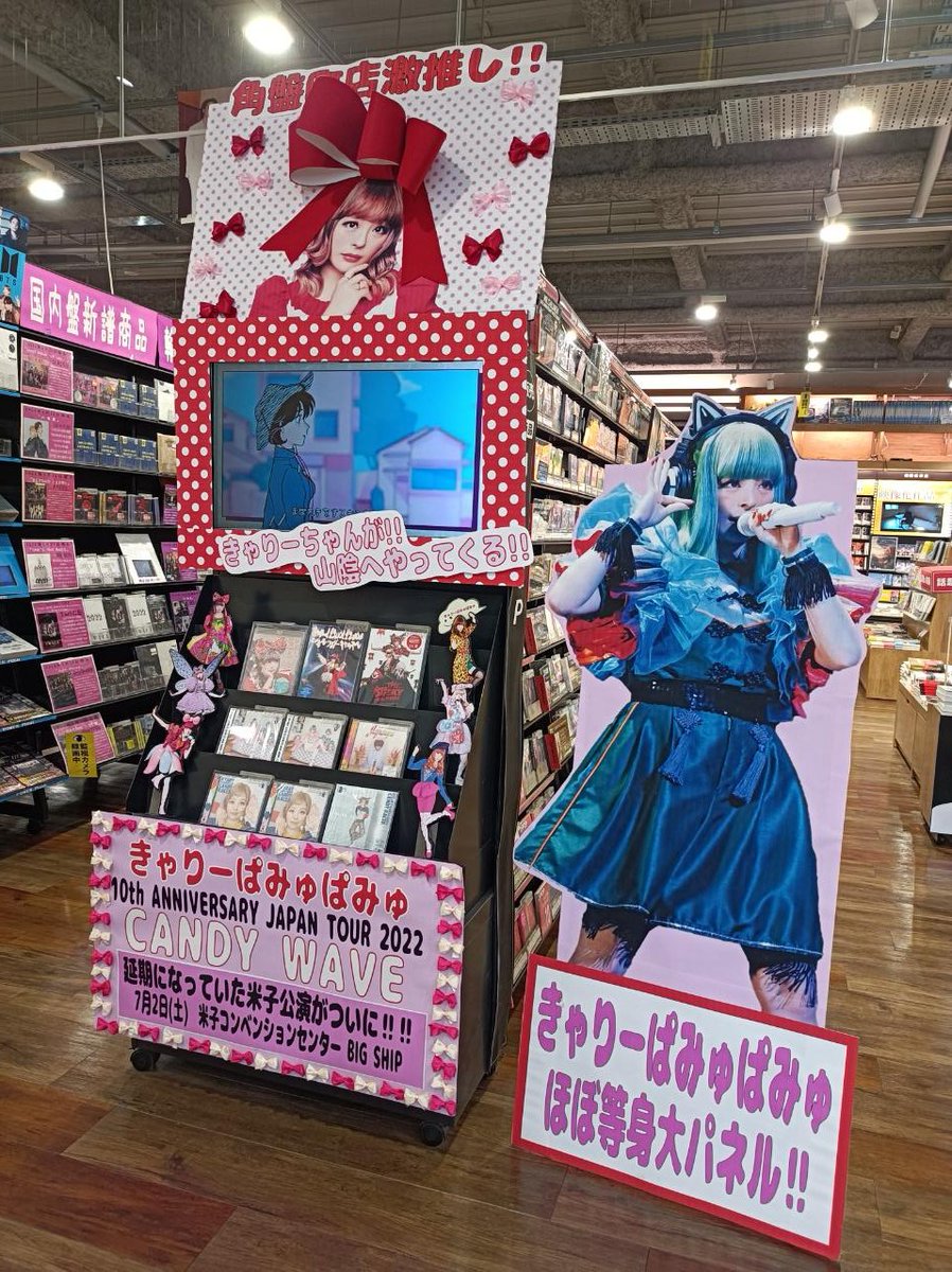 きゃりーぱみゅぱみゅ 等身大 パネル ポスター