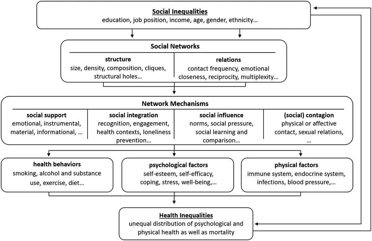 AndreasKlaerner's tweet photo. Based on work from Berkman and Glass, Elkeles and Mielck, and Dahlgren and Whitehead we introduce a A network model of health inequalities. 
https://t.co/LE0LzlFLGM https://t.co/y5T3vhbJ4E