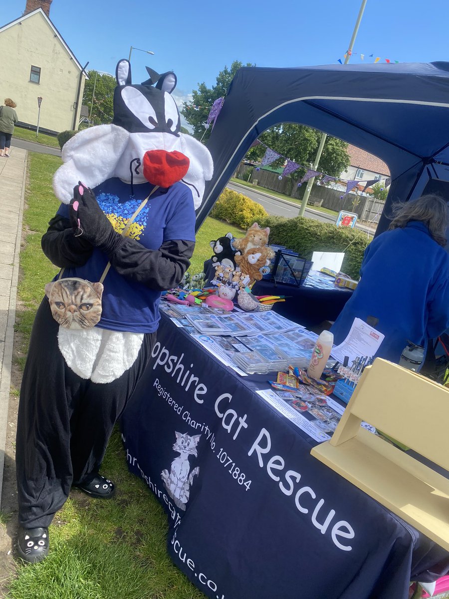 PurrfectSolutionsUK tweet media