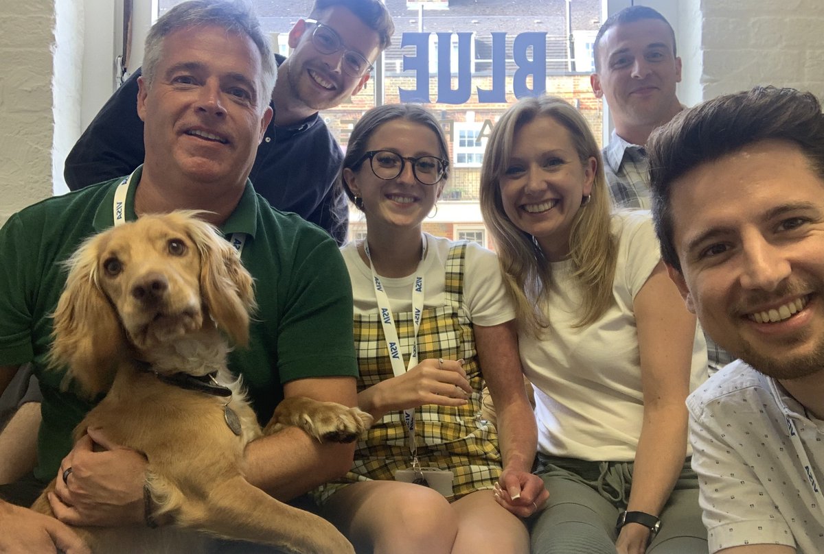 Blue Train Marketing tweet media