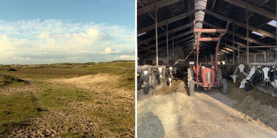De overgrote meerderheid van de gemeenteraad van <a href="/gemeenteborsele/">Gemeente Borsele</a> heeft donderdagavond aangegeven de stikstofplannen van het kabinet niet te steunen.
Foto: Omroep Zeeland streekomroepdebevelanden.nl/?p=11946