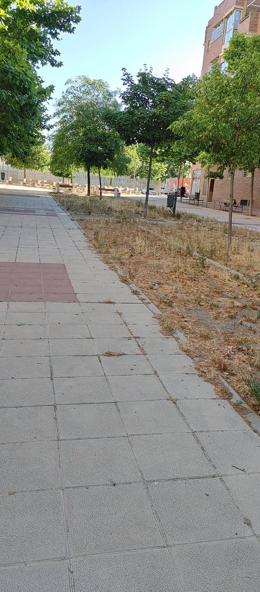 SusanaGGC's tweet photo. @Lineamadrid 
Buenos días. Me gustaría solicitar una limpieza de la calle Villamayor de santiago 23. (Calle peatonal). Está llena de basura y arbustos secos y excrementos de perros.

Los niños juegan ahí (hay un colegio enfrente) y es un asco. 

La app no funciona en este barrio https://t.co/2r1KeTz1QG