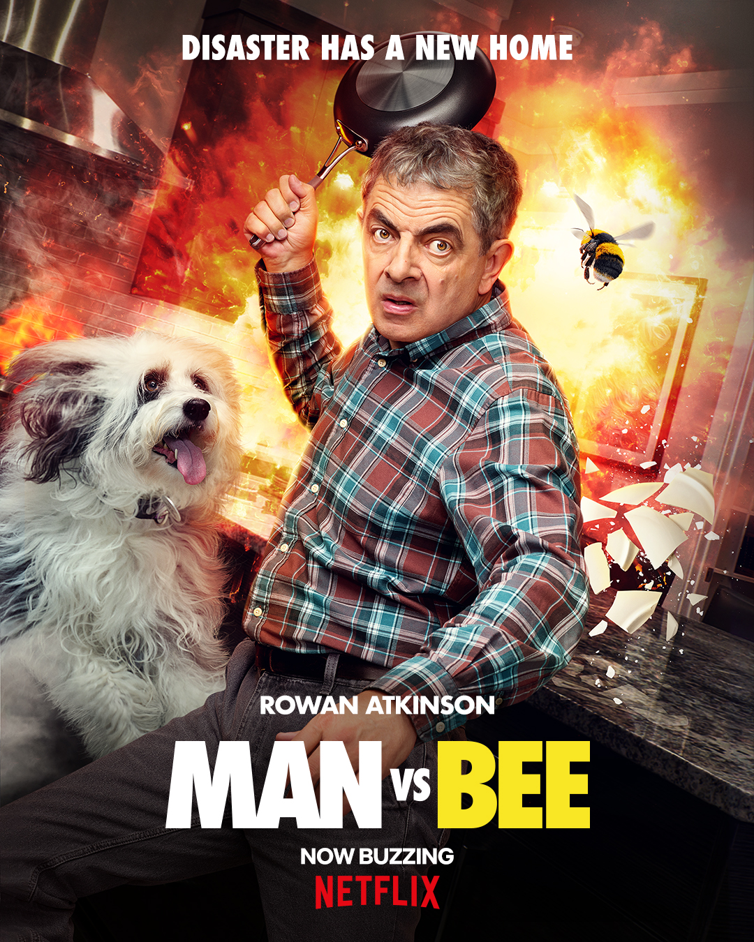 Netflix UK & Ireland on Twitter "MAN VS BEE starring Rowan Atkinson