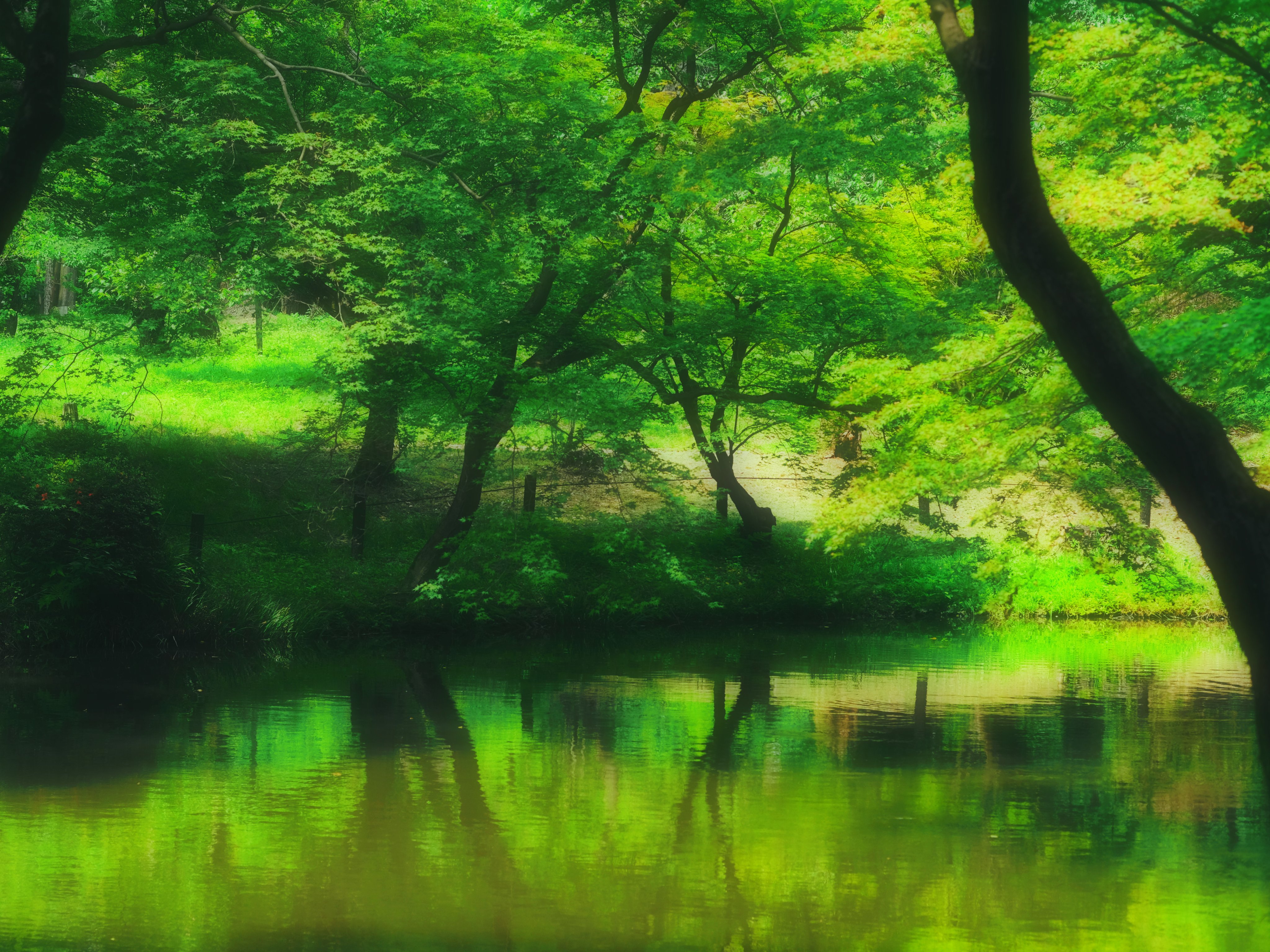 植物園 Twitter Search Twitter