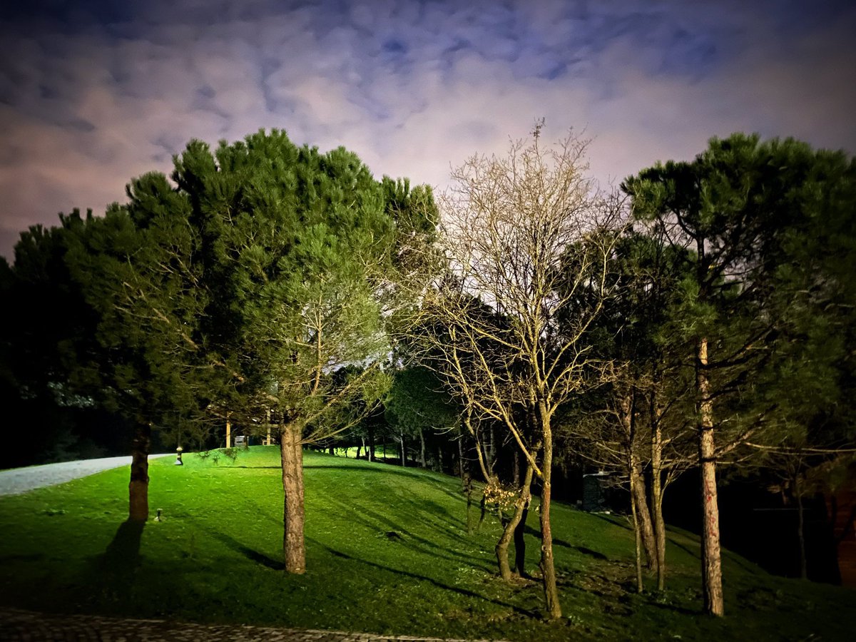 dottiyatro's tweet photo. #KomşumuzGökyüzü
Üç Maymun
@tiyatromerdiven
2 Temmuz Cumartesi saat 21.00
#DotOrmanda 🌲🌳🐢
👉🏻 https://t.co/KotxwrJ7Iu
@Handandelipinar @SelcukDelipinar
@OrmanKent https://t.co/SI9y6lVq1p
