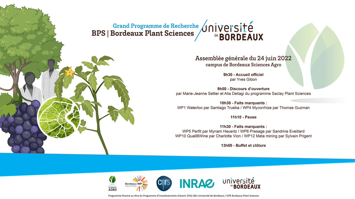 GPR_BPS's tweet photo. Opening of the first general assembly of Bordeaux Plant Sciences, Grand Programme de Recherche of the @univbordeaux.

Merci à @BdxSciencesAgro de nous accueillir sur son campus et aux chercheuses Alia Dellagi et Marie-Jeanne Sellier de @SPS_Plant_Sci de leur présence parmi nous. https://t.co/2eiBHKT0Kq
