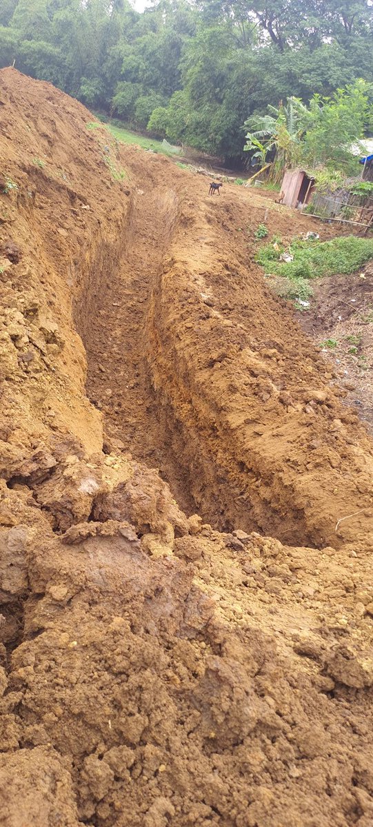 Amitansu4BJP's tweet photo. Dear @RDOdisha @PradeepJenaIAS @PritiranjanBJD @dm_jajpur Sir, The contractor is filling soil in a ditch area (Pond) and after that filling area excavated for RCC Wall,the wall may be collapsed in future.
#Charinangal_Bridge #Approach_Road @The_Chhamu @amaresh_otv @ANayak73 https://t.co/yVzN4mBOn3