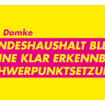 Photo by FDP im Landtag MV (@fdpltmv)