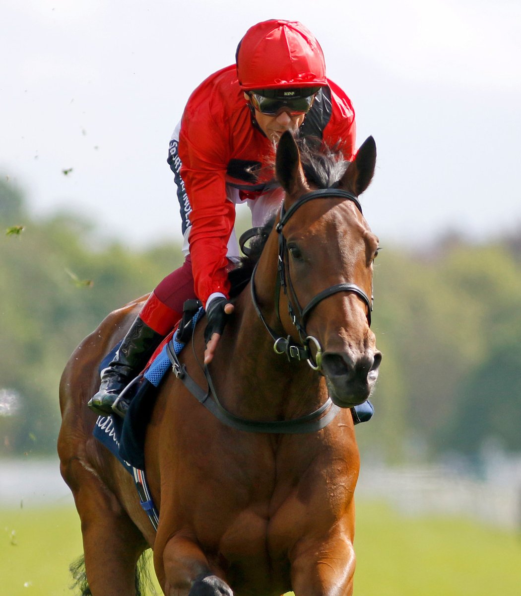 AgaKhanStuds's tweet photo. 👀 Lots 340 & 341 are close relations to impressive Gr.3 Musidora Stakes winner/Gr.1 Oaks 2nd Emily Upjohn. #Haroya & #Hazra are bred on the same cross as the exciting filly, and are also related to dual Classic winners #Harzand and Hurricane Lane.
➡️ https://t.co/8AG63P0LXb https://t.co/2dOWov2sjG