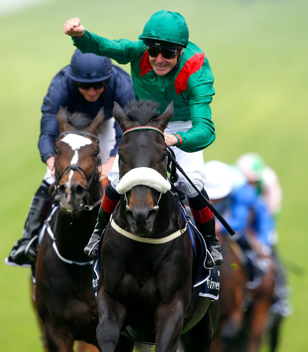 AgaKhanStuds's tweet photo. 👀 Lots 340 & 341 are close relations to impressive Gr.3 Musidora Stakes winner/Gr.1 Oaks 2nd Emily Upjohn. #Haroya & #Hazra are bred on the same cross as the exciting filly, and are also related to dual Classic winners #Harzand and Hurricane Lane.
➡️ https://t.co/8AG63P0LXb https://t.co/2dOWov2sjG