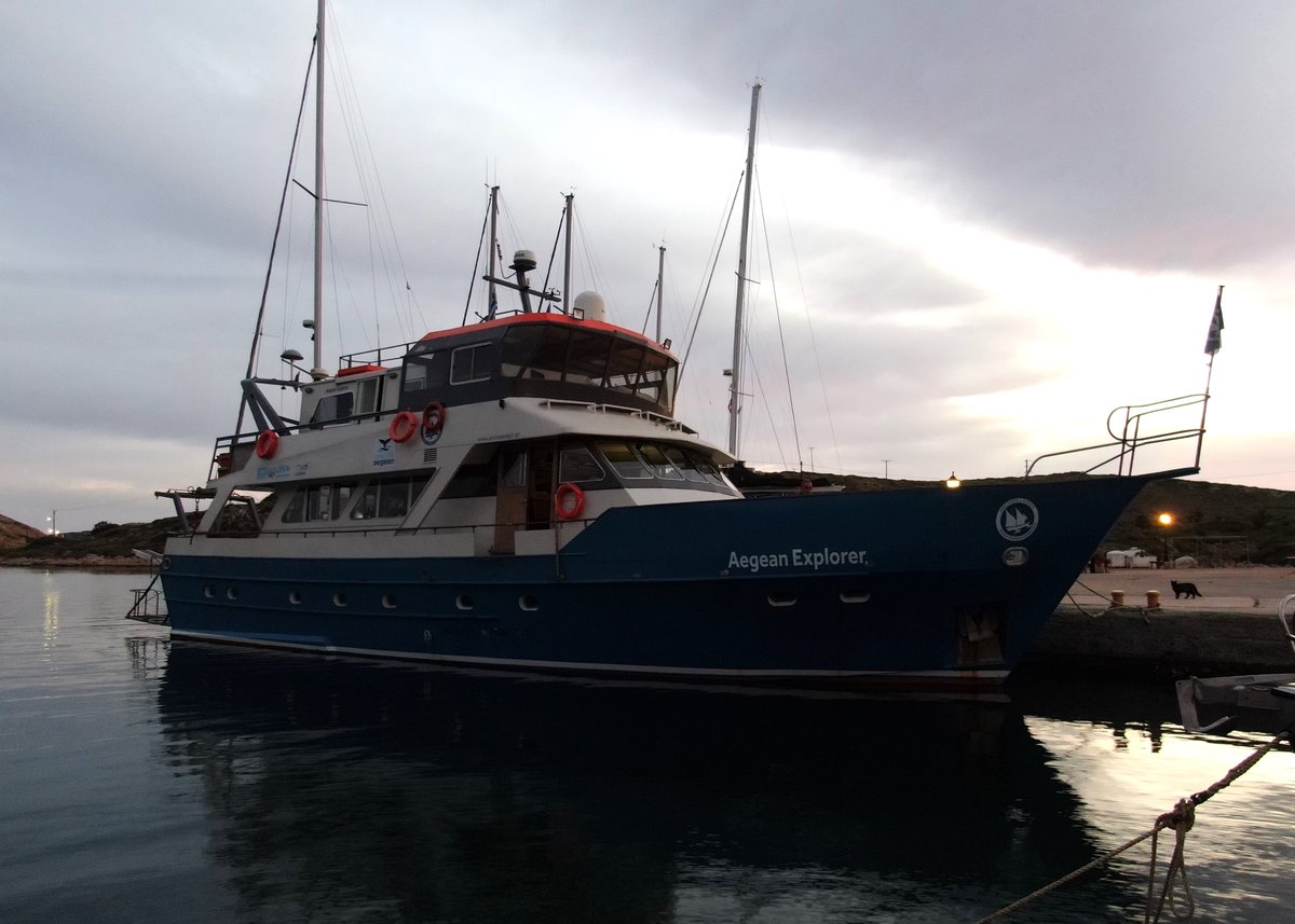 Archipelagos Institute of Marine Conservation tweet media