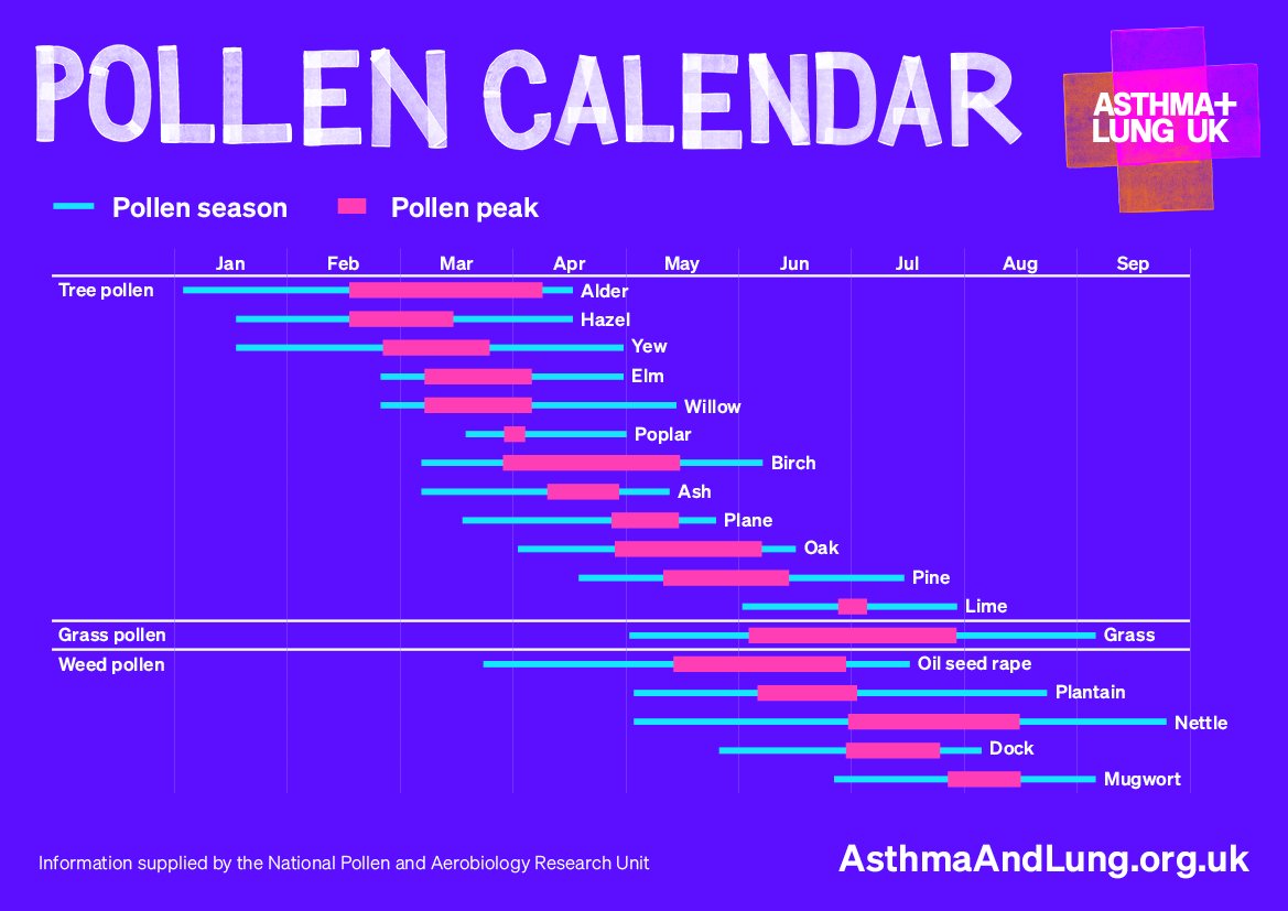 Asthma + Lung UK on Twitter "Have you seen our new pollen calendar