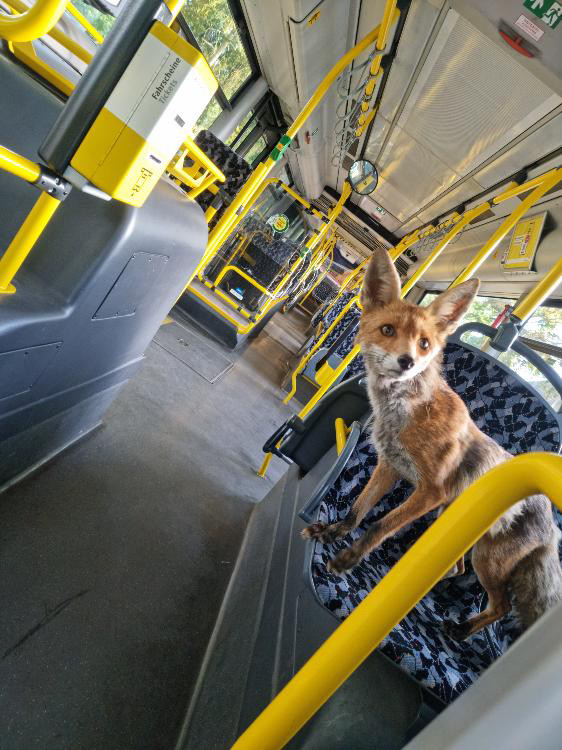 BVG_Kampagne's tweet image. Entschuldigen Sie, der fährt aber nicht über Jägerstraße, oder?