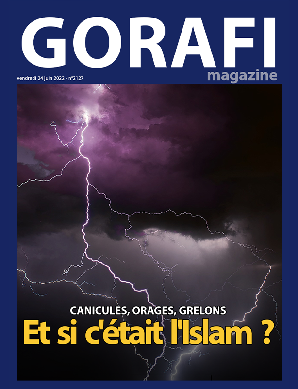 le_gorafi's tweet photo. Gorafi Magazine : Canicule, orages, grêlons : et si c’était l’Islam ? - https://t.co/61UJziIJF1 https://t.co/K2wUQuBh7t