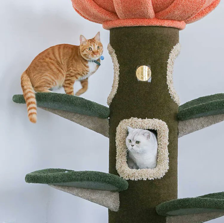 CatCouncil6's tweet photo. Get your cats their own secret stylish and comfortable hideout, purr-fect for catnaps. Dm for purchase 
#cats #CatsOnTwitter #catlovers #catlover #catlife #pet #accessory #accessories #suitandtie #suit #catsofinstagram #catgirl #petlovers #kitten #kittens #kittensoftwitter https://t.co/Uf2HEgGgkY